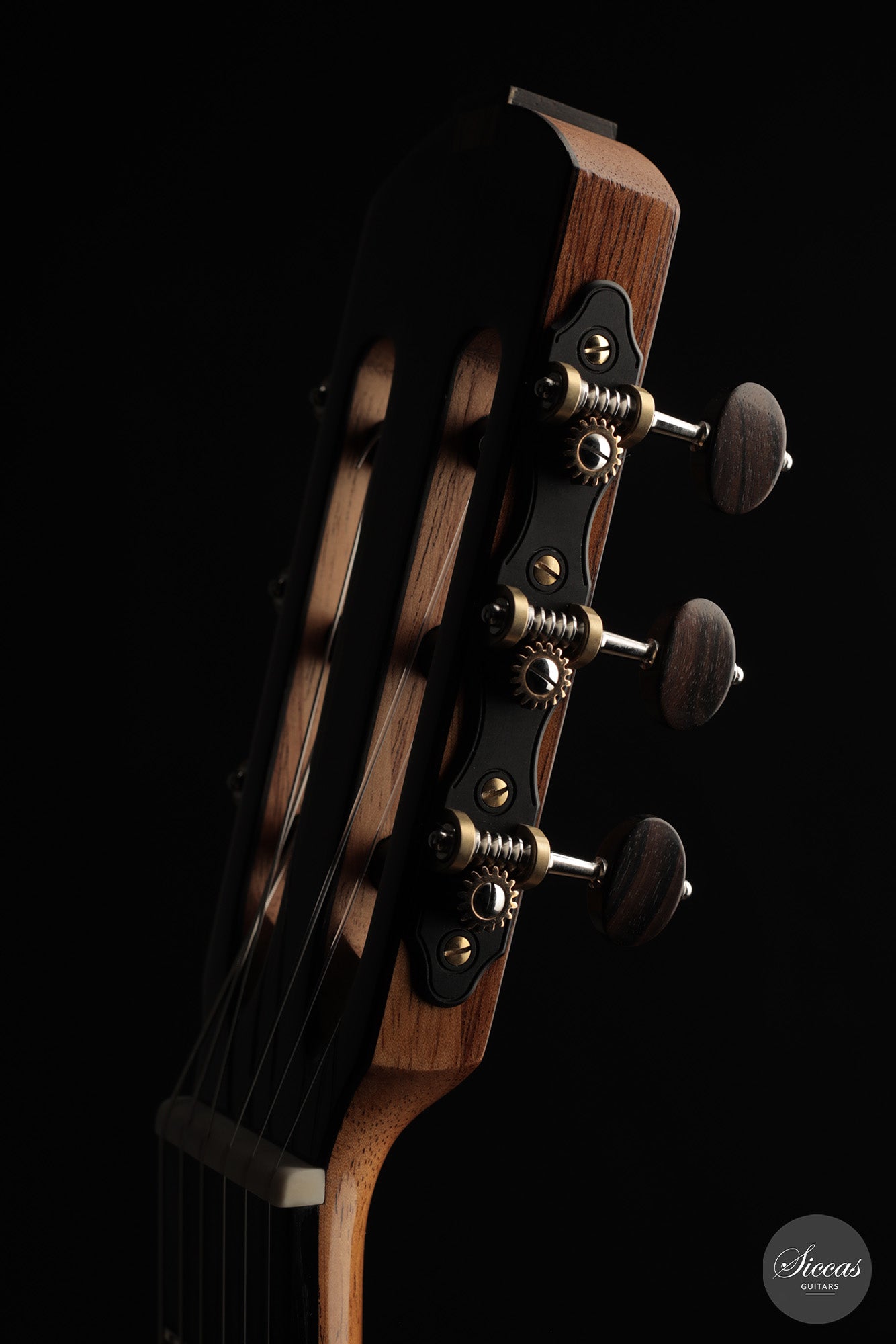 Michele Della Giustina - 2025 No. 438