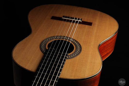 Miguel Angel Gutierrez Garcia-Calvo - 2024 SE 10 REG 2024 Limited Edition