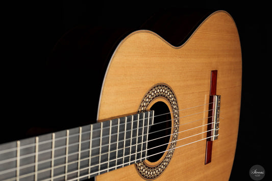 Miguel Angel Gutierrez Garcia-Calvo - 2024 SE 10 REG 2024 Limited Edition img-2