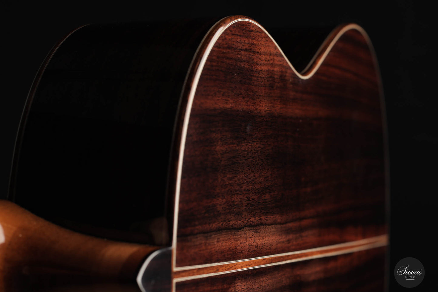 Mirko Migliorini – 2023 No. 379