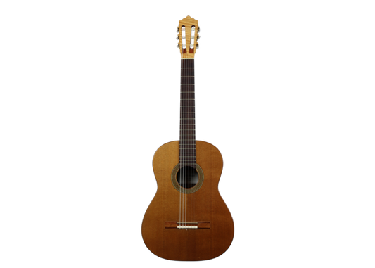 Nicolaus Wollf - 2000