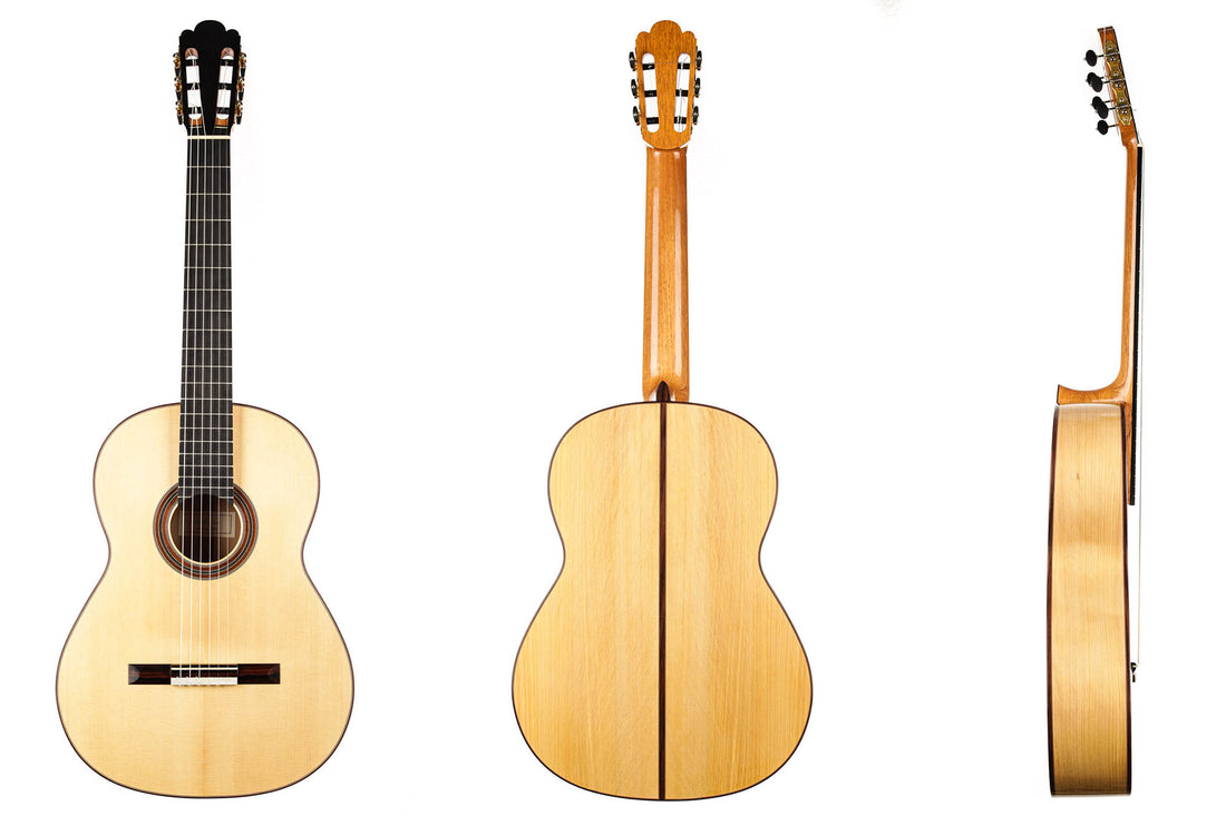 Nils Schebesta - 2020 Fichte