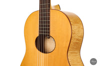 Norbert Ulbrich - 2004 Nr. 20