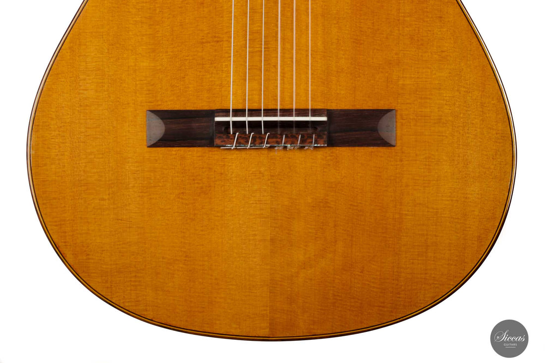 Otto Rauch - 2022 Doubletop No. 280 "Domenico Montagnana - The sleeping beauty"