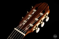 Otto Rauch - 2022 Doubletop No. 280 "Domenico Montagnana - The sleeping beauty"