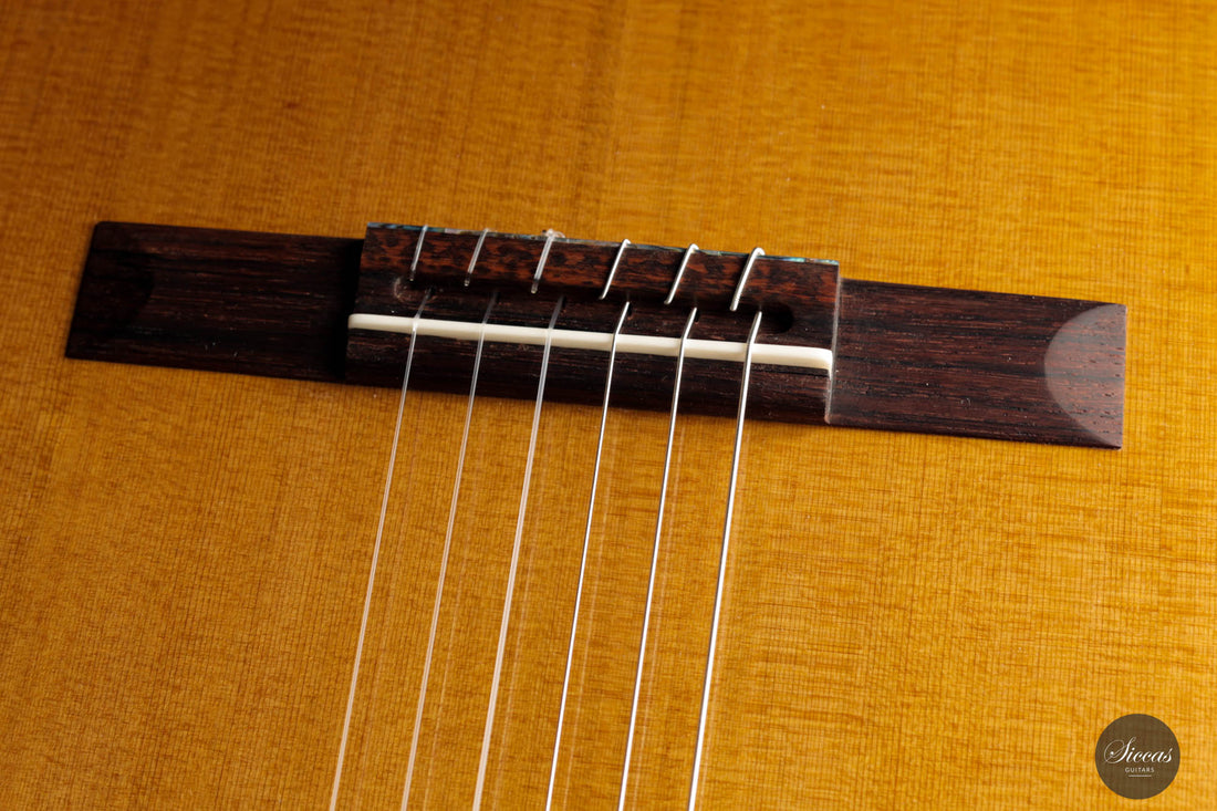 Otto Rauch - 2023 Doubletop No. 286 “Domenico Montagnana – The sleeping beauty”