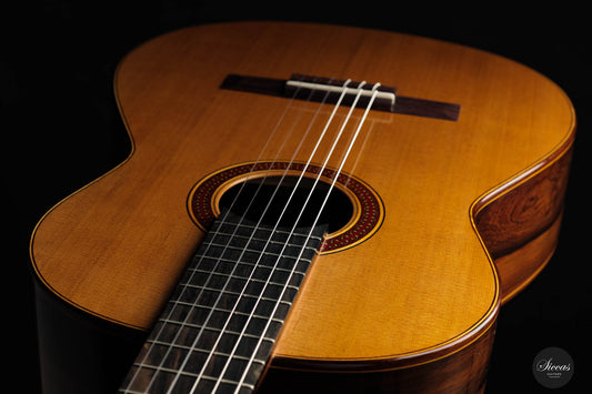 Otto Rauch - 2023 Doubletop No. 286 “Domenico Montagnana – The sleeping beauty”