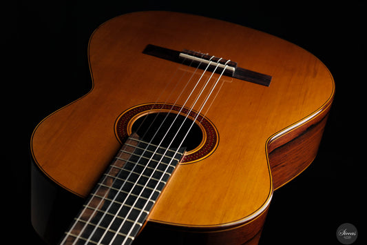 Otto Rauch – 2024 Doubletop No. 290 “Domenico Montagnana – The sleeping beauty”