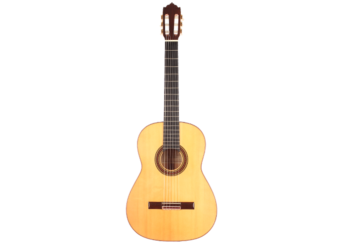 Vicente Carrillo - Paco de Lucía 2002