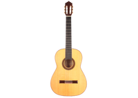 Vicente Carrillo - Paco de Lucía 2002