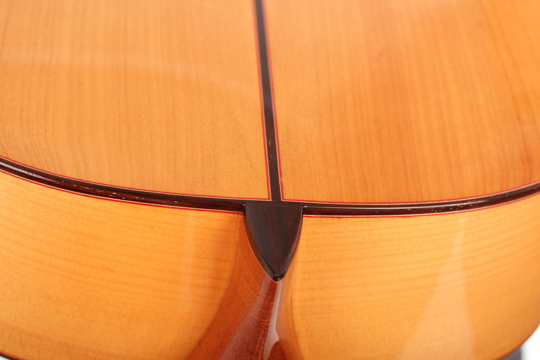 Vicente Carrillo - Paco de Lucía 2002