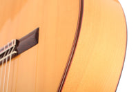 Vicente Carrillo - Paco de Lucía 2002