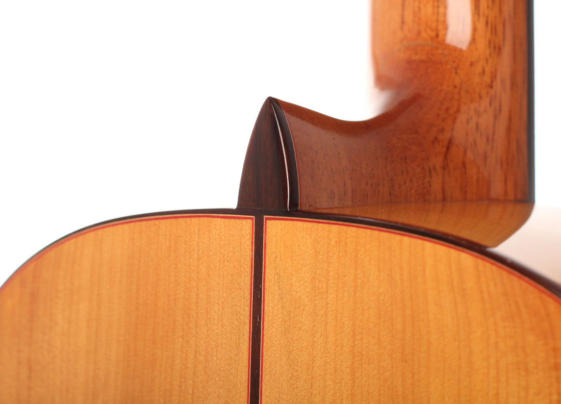 Vicente Carrillo - Paco de Lucía 2002