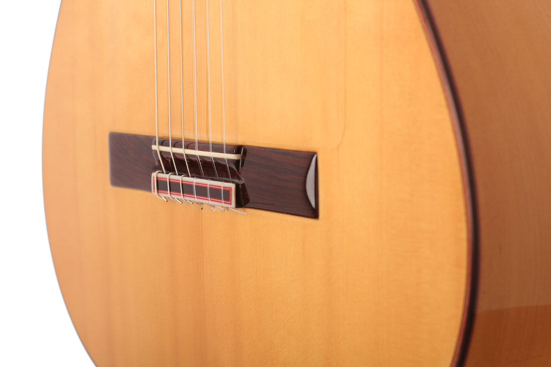 Vicente Carrillo - Paco de Lucía 2002