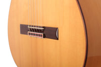 Vicente Carrillo - Paco de Lucía 2002