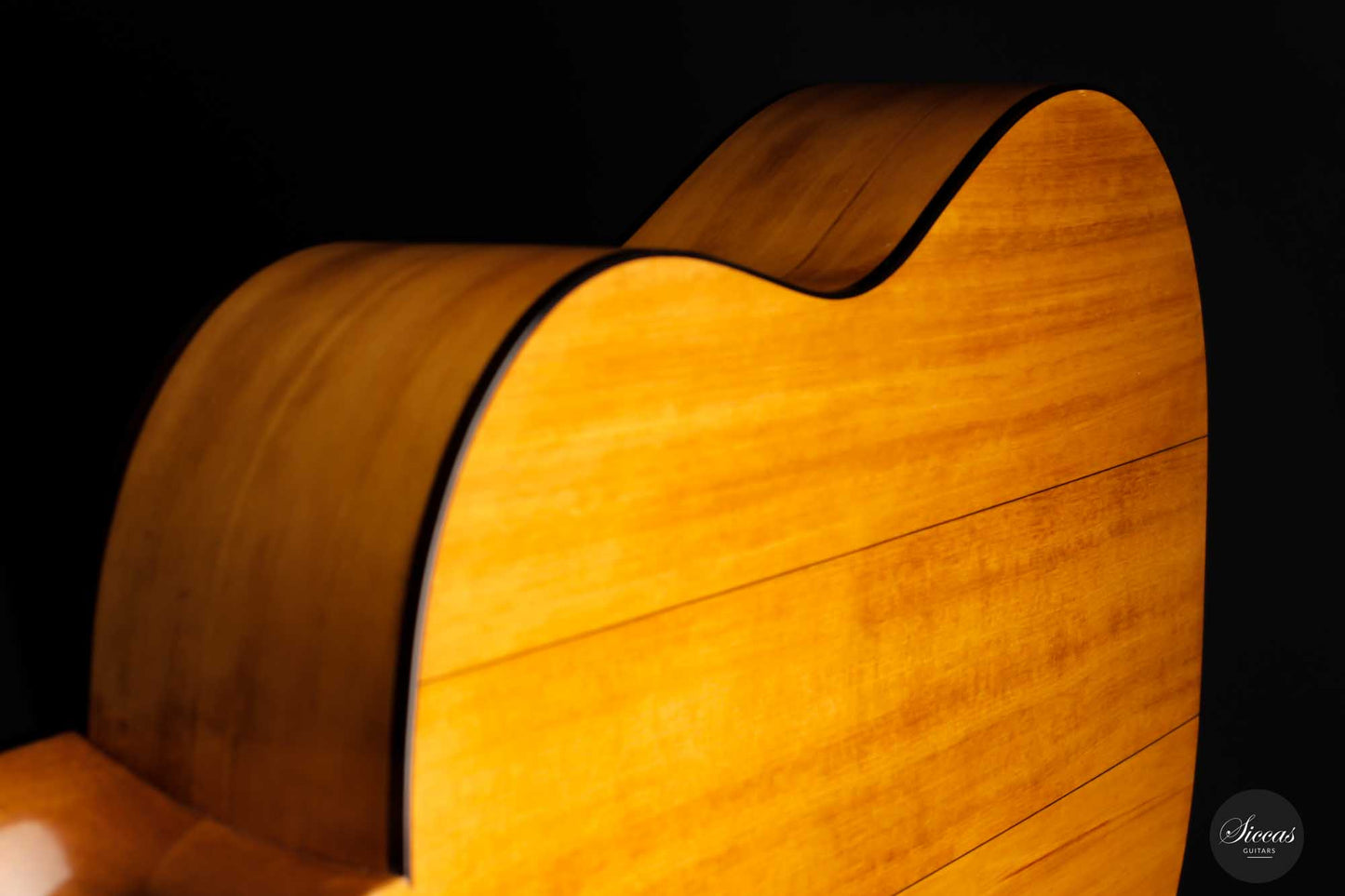 Paolo Coriani - 2010 "La Leona" No. 180