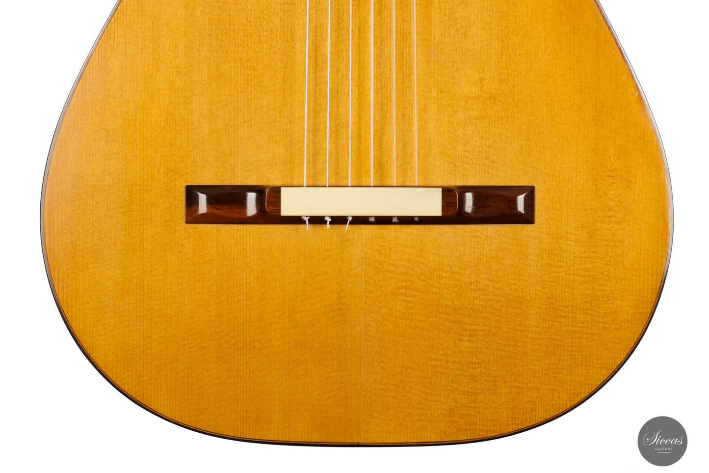 Paolo Coriani - 2010 "La Leona" No. 180