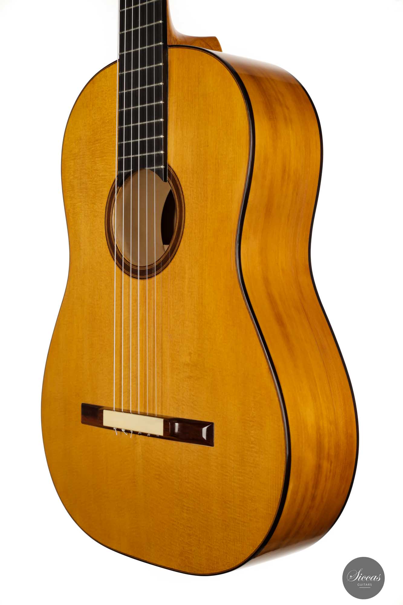 Paolo Coriani - 2010 "La Leona" No. 180