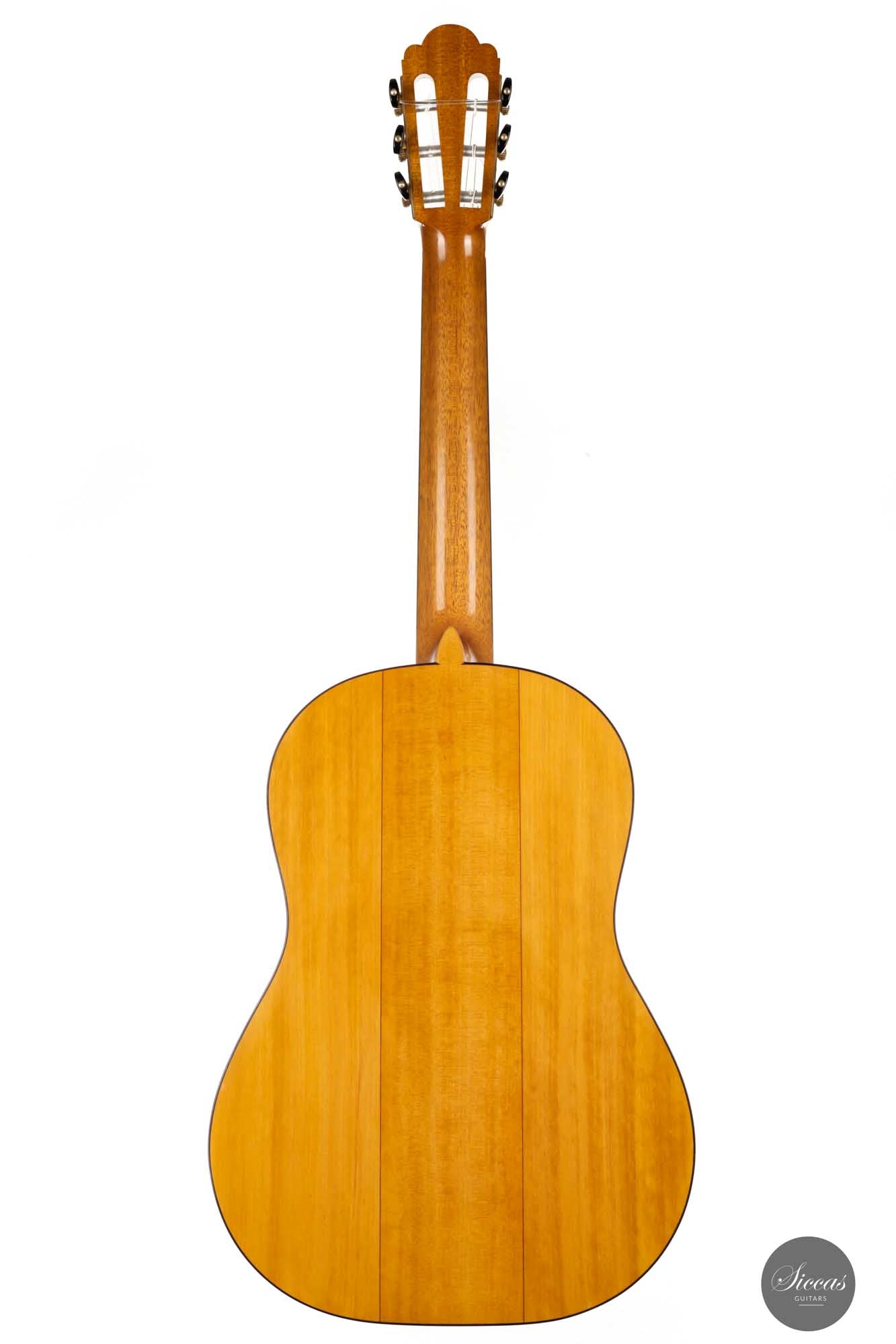 Paolo Coriani - 2010 "La Leona" No. 180
