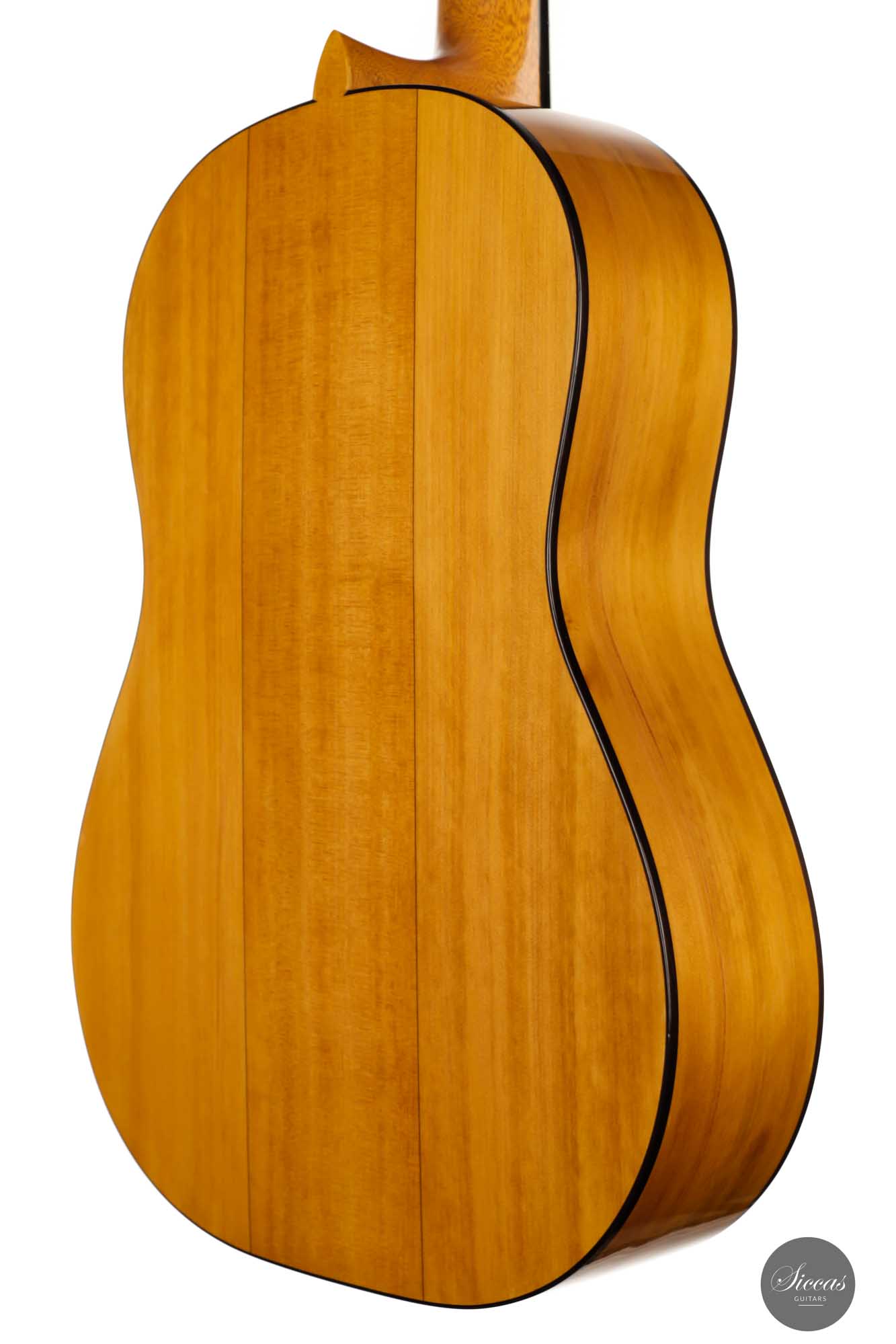 Paolo Coriani - 2010 "La Leona" No. 180