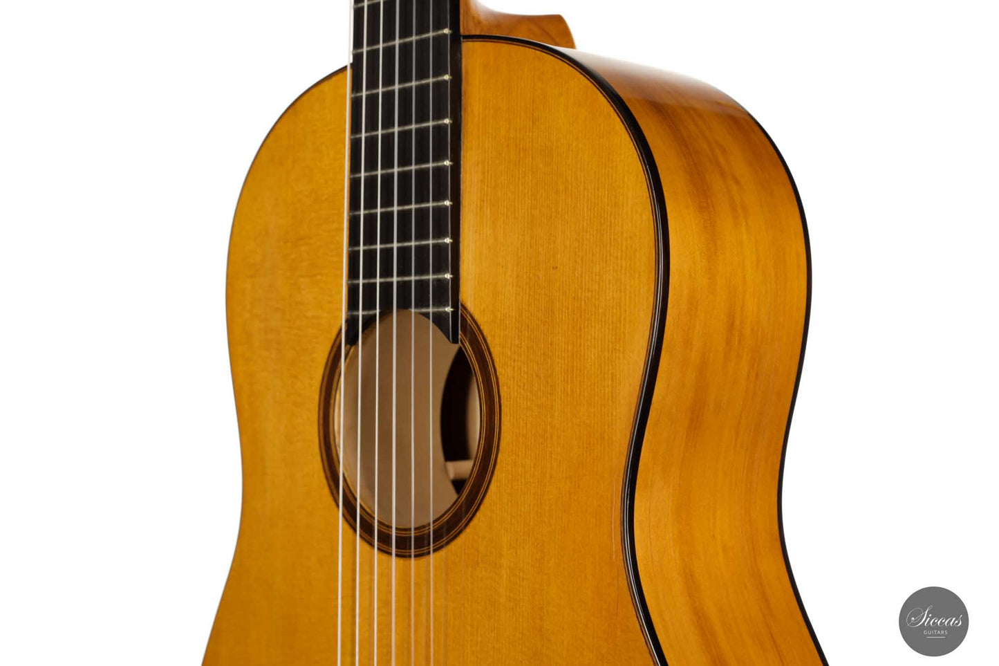 Paolo Coriani - 2010 "La Leona" No. 180