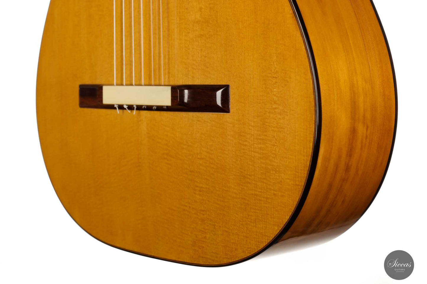 Paolo Coriani - 2010 "La Leona" No. 180