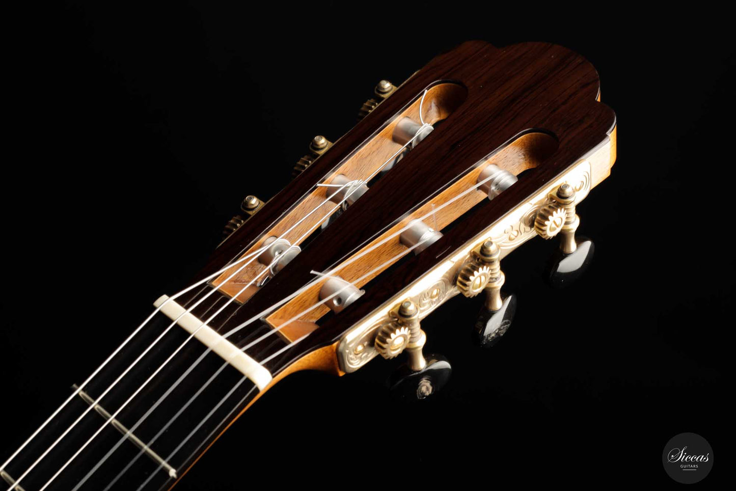 Paolo Coriani - 2010 "La Leona" No. 180