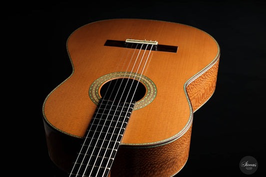 Paulino Bernabé - 2022 Colección No. 3