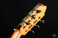 Petar Antic - 2010 No. 05 Left-hand