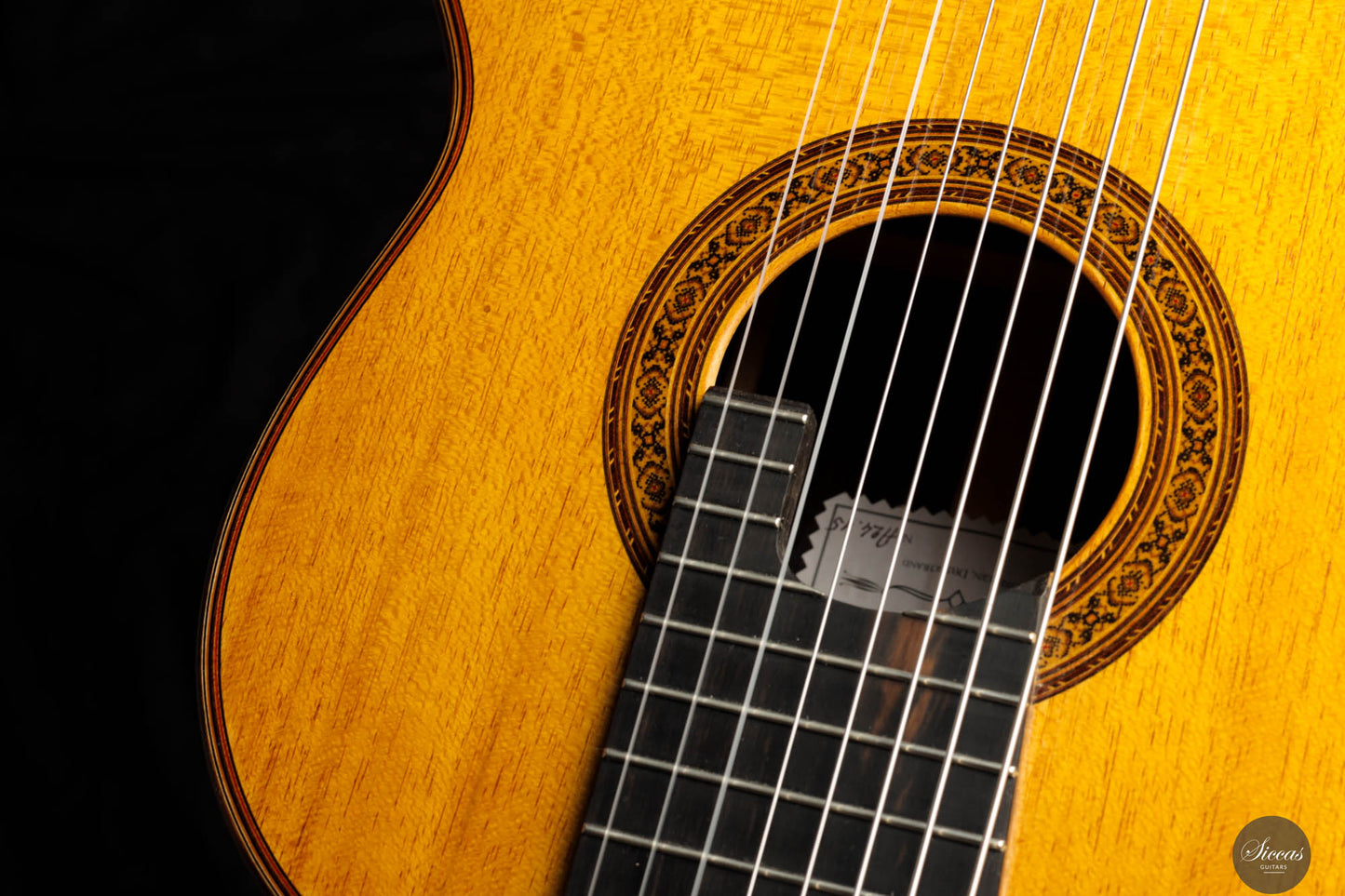 Petar Antic - 2015 - 8-Strings