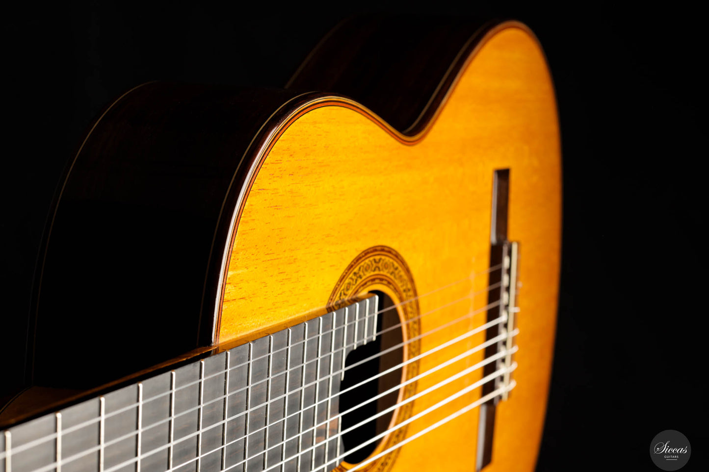 Petar Antic - 2015 - 8-Strings