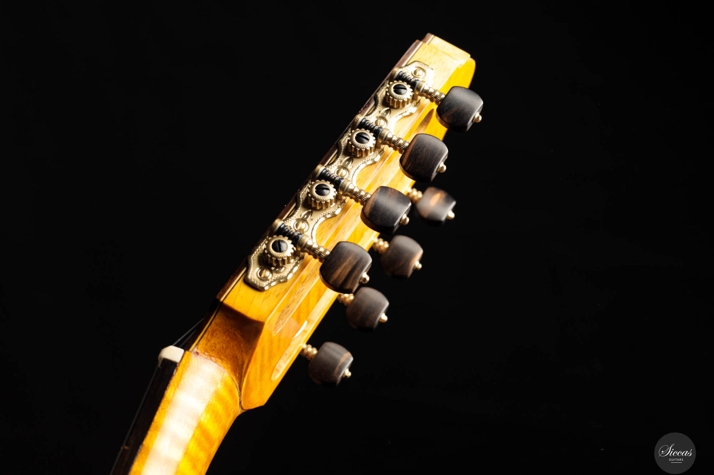 Petar Antic - 2015 - 8-Strings