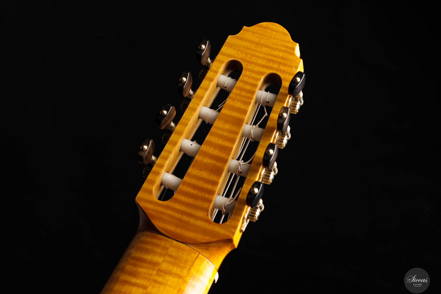 Petar Antic - 2015 - 8-Strings