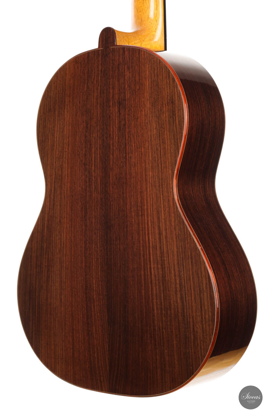 Pete Beer - 2025 No. 105 64 cm