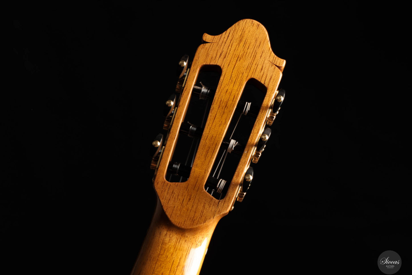 Pete Beer - 2025 No. 105 64 cm
