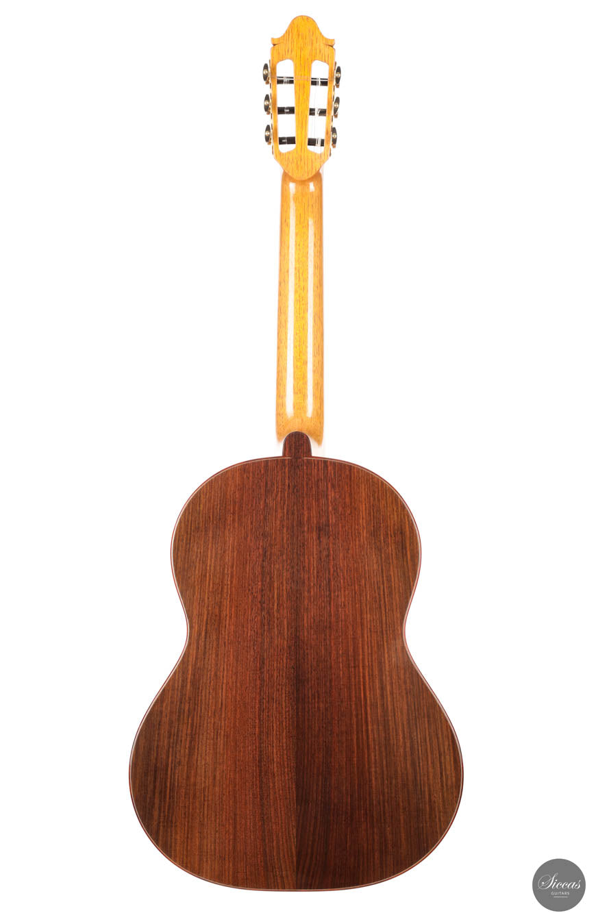 Pete Beer - 2025 No. 105 64 cm