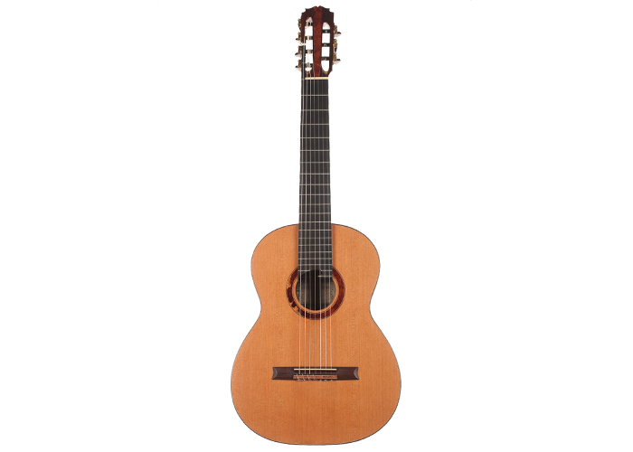 Petr Matoušek – 2010 Doubletop 7-string