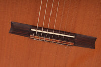 Petr Matoušek – 2010 Doubletop 7-string