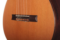 Petr Matoušek – 2010 Doubletop 7-string