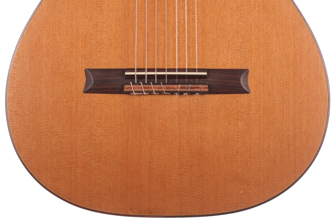 Petr Matoušek – 2010 Doubletop 7-string