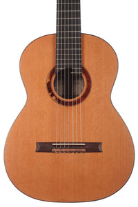 Petr Matoušek – 2010 Doubletop 7-string