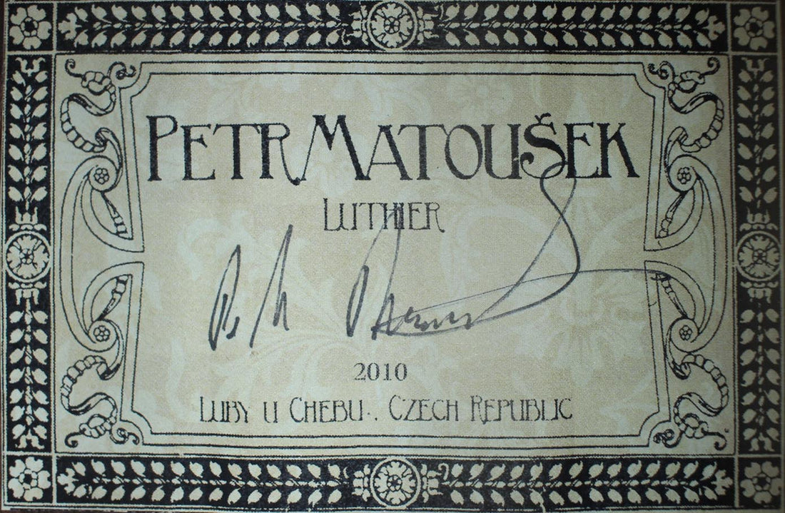 Petr Matoušek – 2010 Doubletop 7-string