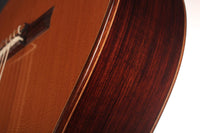 Petr Matoušek – 2010 Doubletop 7-string