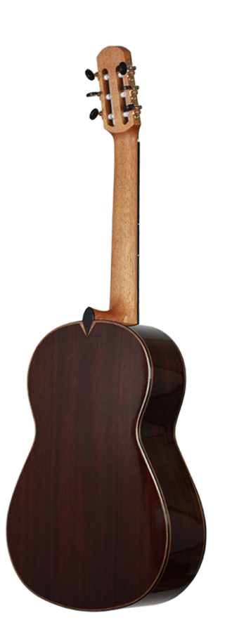 Philipp Neumann - Siccas Guitars Edition 2014
