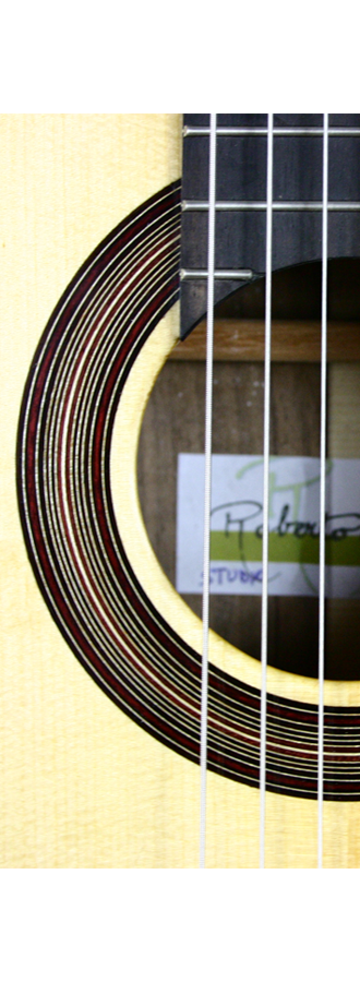 Roberto Pozzi - 2013 img-2