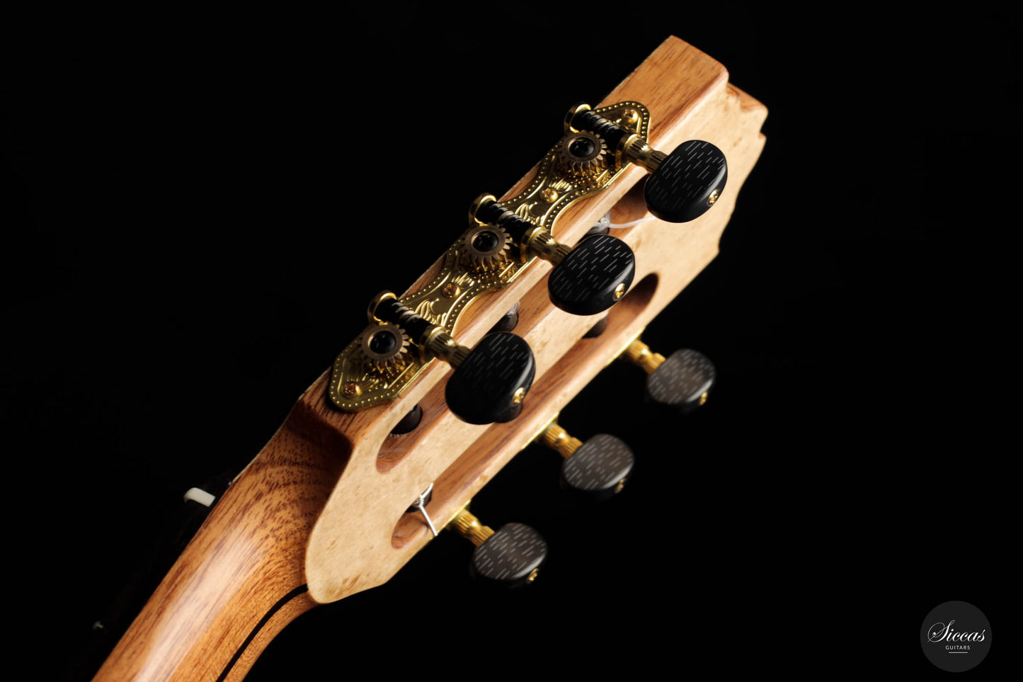 Ramin Fallah – 2022 C-Stage No. 424