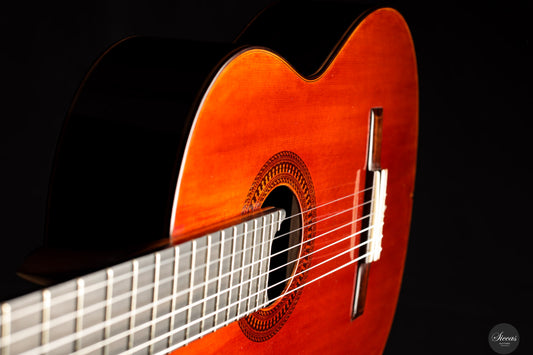 Saeid Aboutalebian - 2025 No. 62 Doubletop img-2