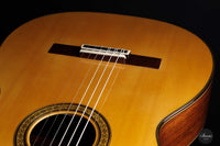 Sakurai Kohno - 2023 Professional J Spruce 64 cm