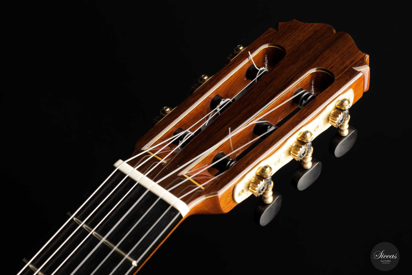 Sakurai Kohno - 2022 Professional J Spruce