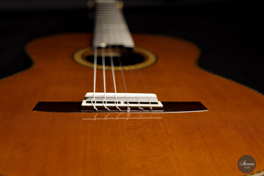Sakurai Kohno - 2021 Special Cedar 64 cm